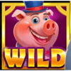 mr oinksters hold and win wild symbol