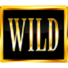 multi machine wild symbol