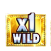 multiblitz 7s max wild symbol