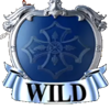 musketeers 1 wild for all symbol wild 1