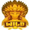mystic buffalo deluxe wild 1 symbol