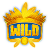 mystic buffalo deluxe wild 2 symbol