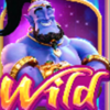mystic wishes wild symbol