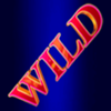 netgame disco fruits wild symbol