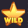 netgame fruit burst wild symbol