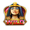netgaming treasures of egypt wild symbol