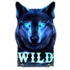 night wolf frozen flames wild symbol