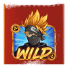 ninja ways wild symbol