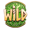 nordic winnings symbol wild