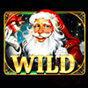 novi god wild symbol