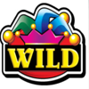 novomatic reel king wild symbol