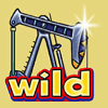 oil company ii wild symbol