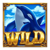 orcas wild bonanza wild symbol