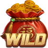 oriental treasures wild symbol