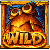 out of the woods wild symbol