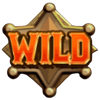 outlaw trails wild symbol