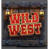 outlaws express wild symbol