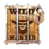 outlaws wild sticky symbol