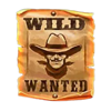 outlaws wild symbol