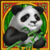 panda panda wild symbol