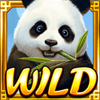 panda paradise wild symbol