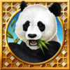 pandas gold wild symbol
