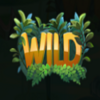 perfect catch wild symbol