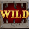 pickle bandits wild 2 symbol