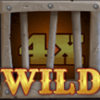 pickle bandits wild 4 symbol