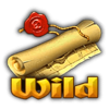 pirate jack pots wild symbol