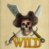 pirates of fortune wild symbol