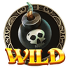 pirates plenty battle for gold wild symbol