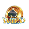 pirates plenty wild 3 symbol