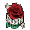 pistols and roses wild symbol