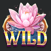 pixie magic wild symbol