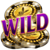 playboy fortunes hyperspins wild symbol