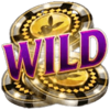 playboy fortunes wild symbol