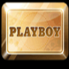 playboy gold wild symbol