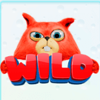 poki wild red wild symbol