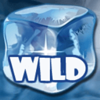 polar adventure wild symbol