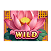 prosperity deluxeways wild 2 symbol