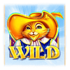 puss n boots wild symbol