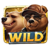 raccoona lisa bear wild symbol