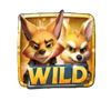 raccoona lisa wild 2 symbol