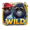 raccoona lisa wild 4 symbol