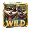 raccoona lisa wild 5 symbol
