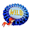racing royalty wild symbol