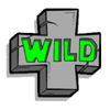 rad maxx wild symbol