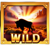 raging riches fortune frenzy symbol wild
