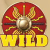 reel empire wild symbol